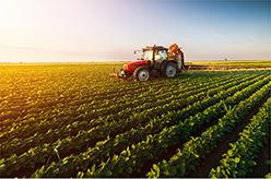 Landwirtschaft